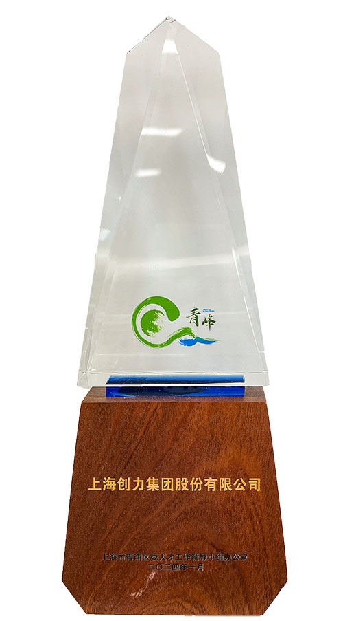 青峰獎1.jpg 喜報!上海創(chuàng)力集團(tuán)榮獲2023年度青浦區(qū)百強(qiáng)優(yōu)秀企業(yè)等三項大獎(圖3)